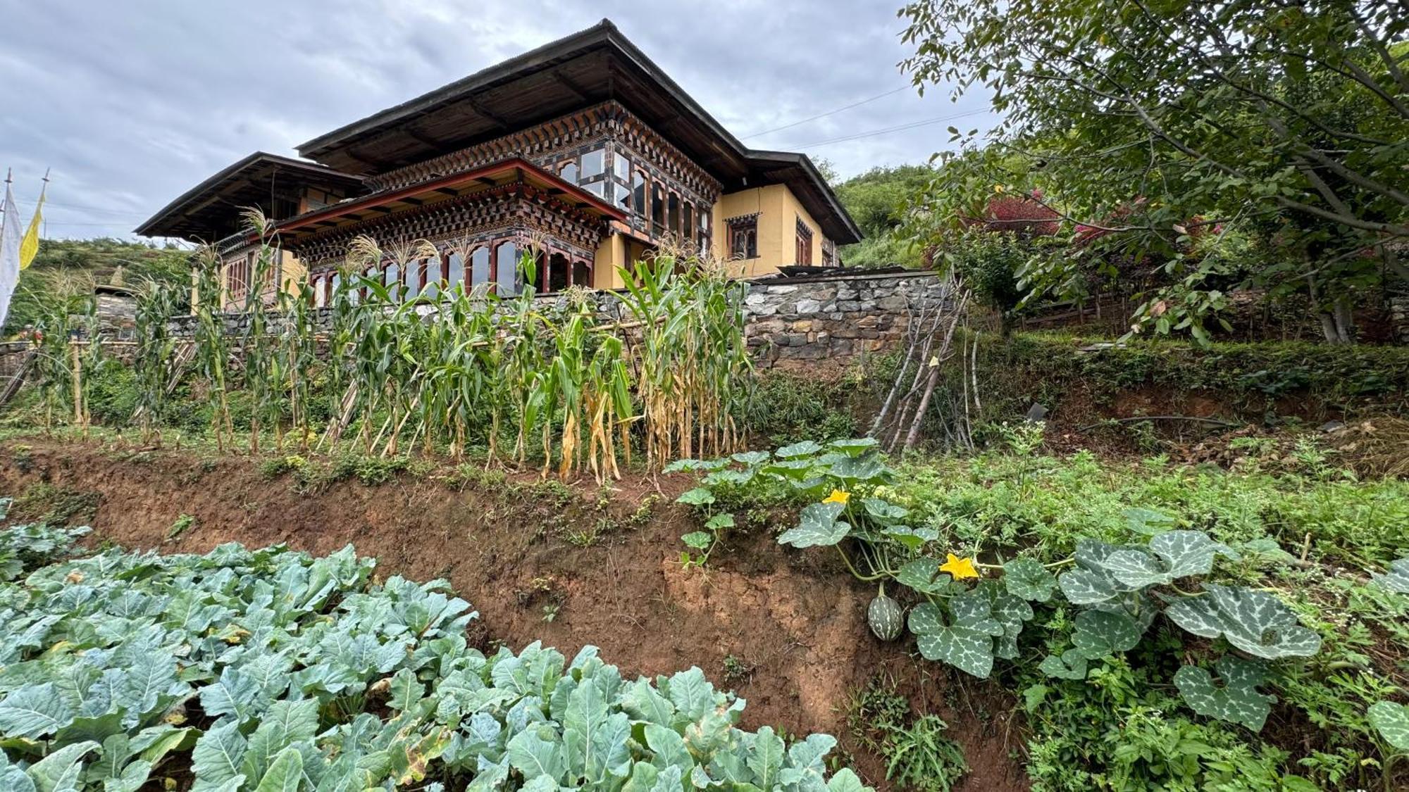 Wangdue Ecolodge Wangdue Phodrang المظهر الخارجي الصورة
