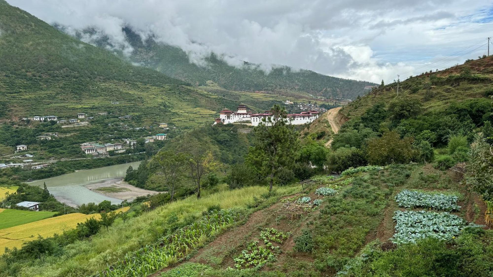 Wangdue Ecolodge Wangdue Phodrang المظهر الخارجي الصورة