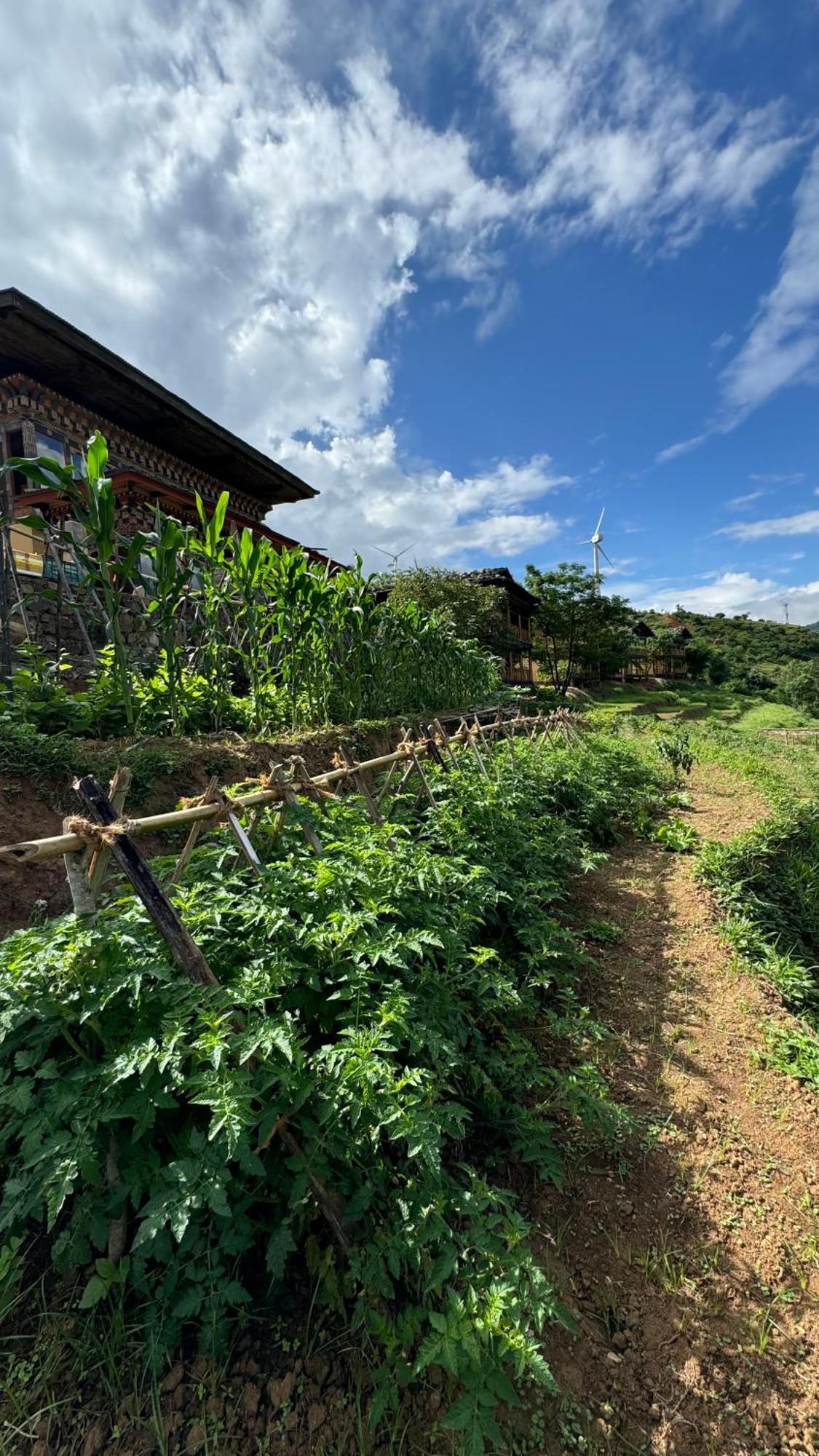 Wangdue Ecolodge Wangdue Phodrang المظهر الخارجي الصورة